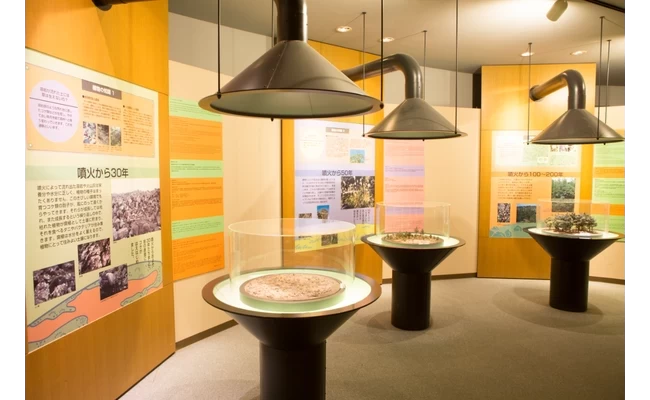 桜島の噴火と成長の歴史を紹介
