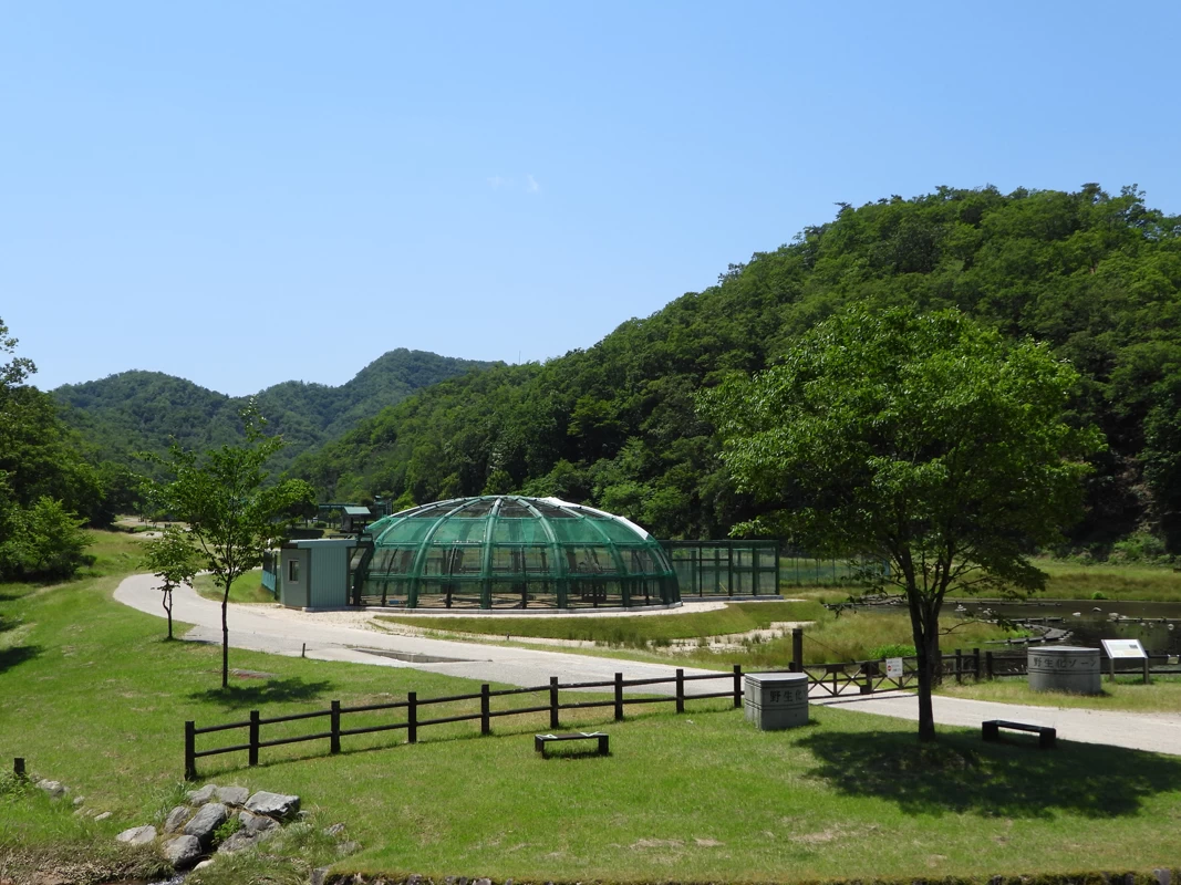 ドーム型ケージ