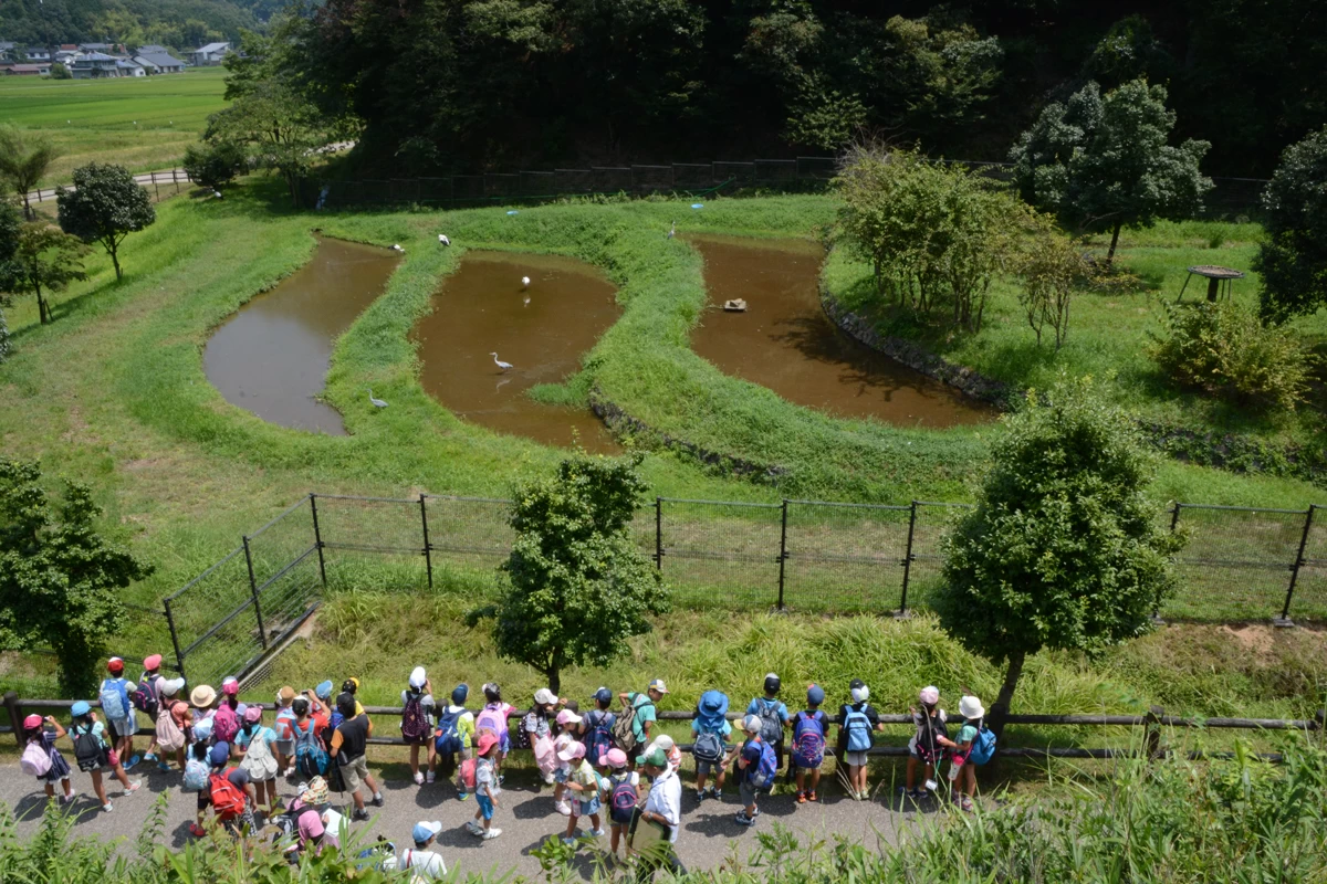 観察広場の様子