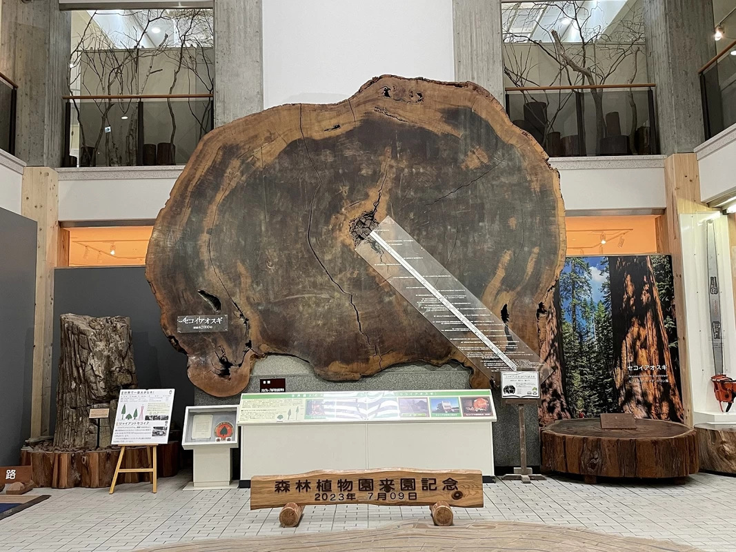 森林展示館