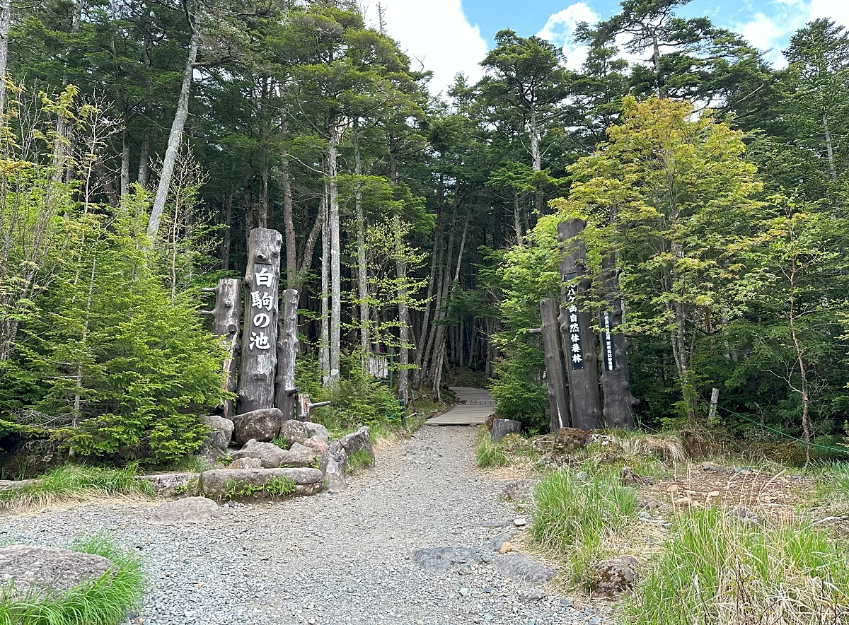 白駒の池入り口（現地撮影）