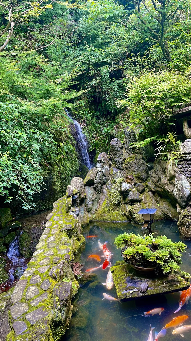 奥庭