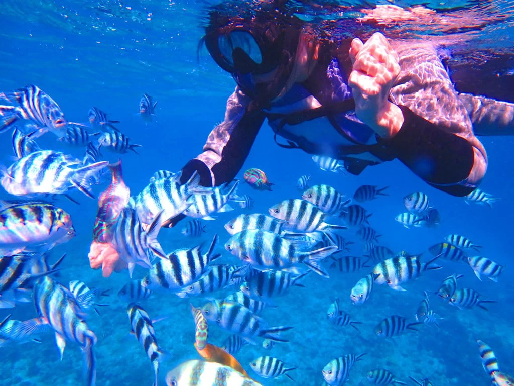 シュノーケリングツアー①