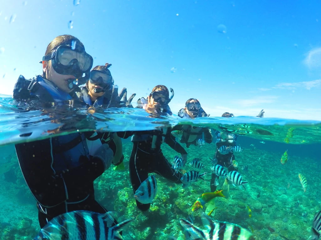 シュノーケリングツアー②