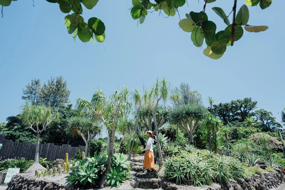美らヤシパークオキナワ・東南植物楽園②