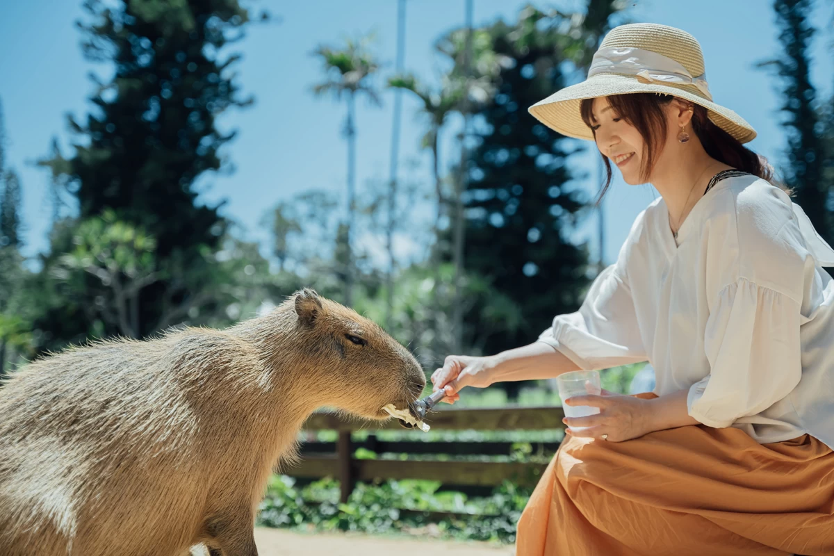 カピバラとの触れ合い体験