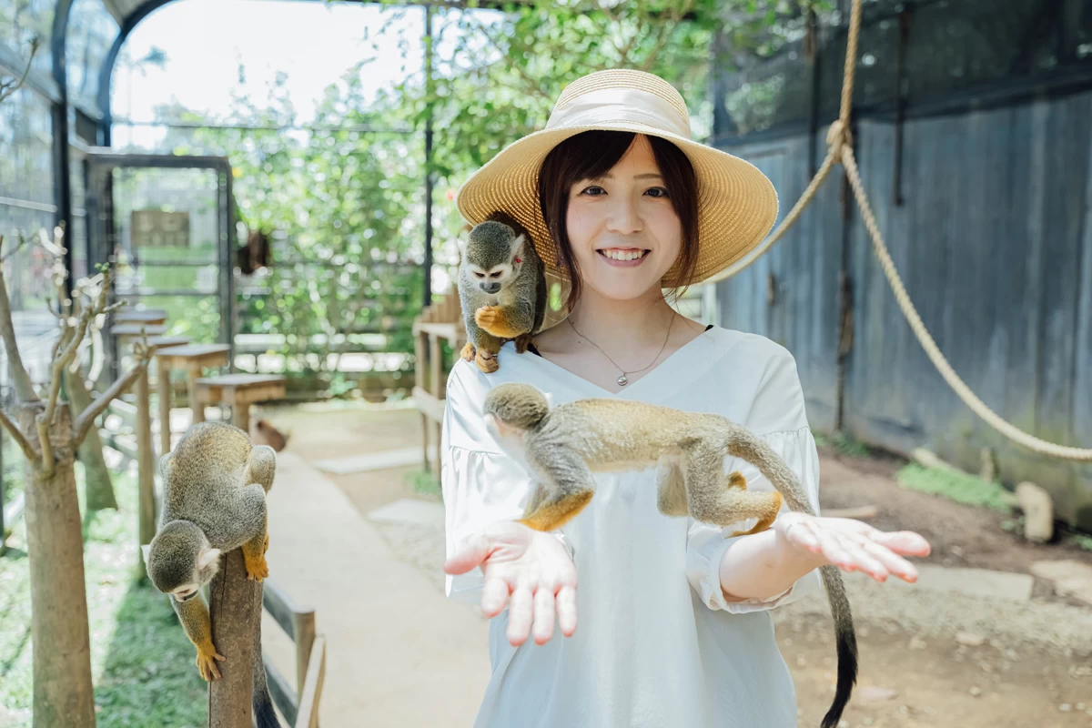 コモンリスザル