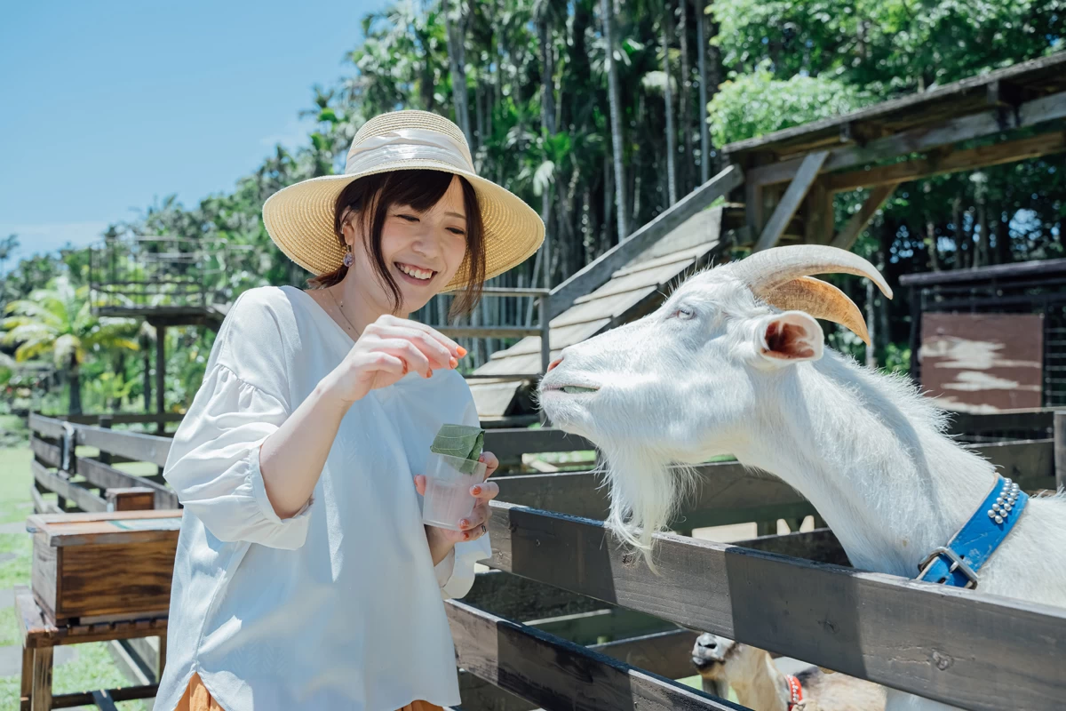 ヤギ