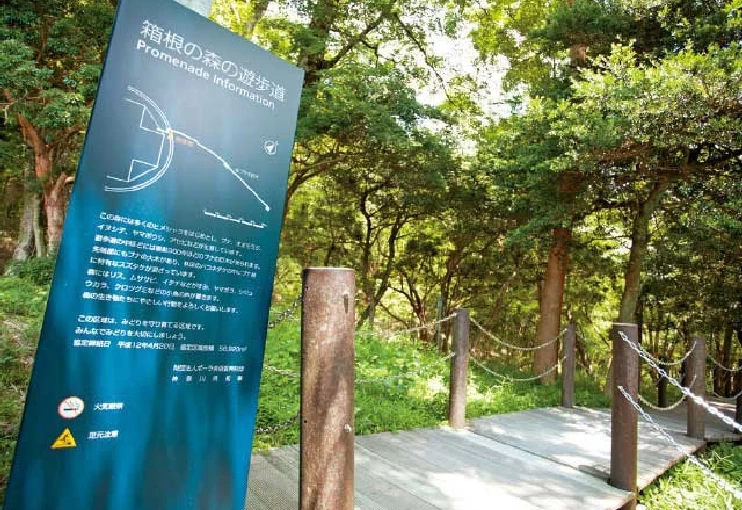 屋外にも見どころがある