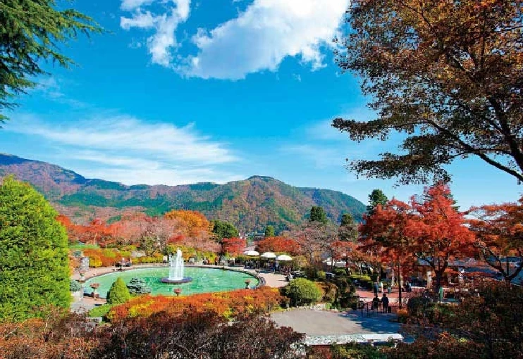 秋には紅葉も楽しめる