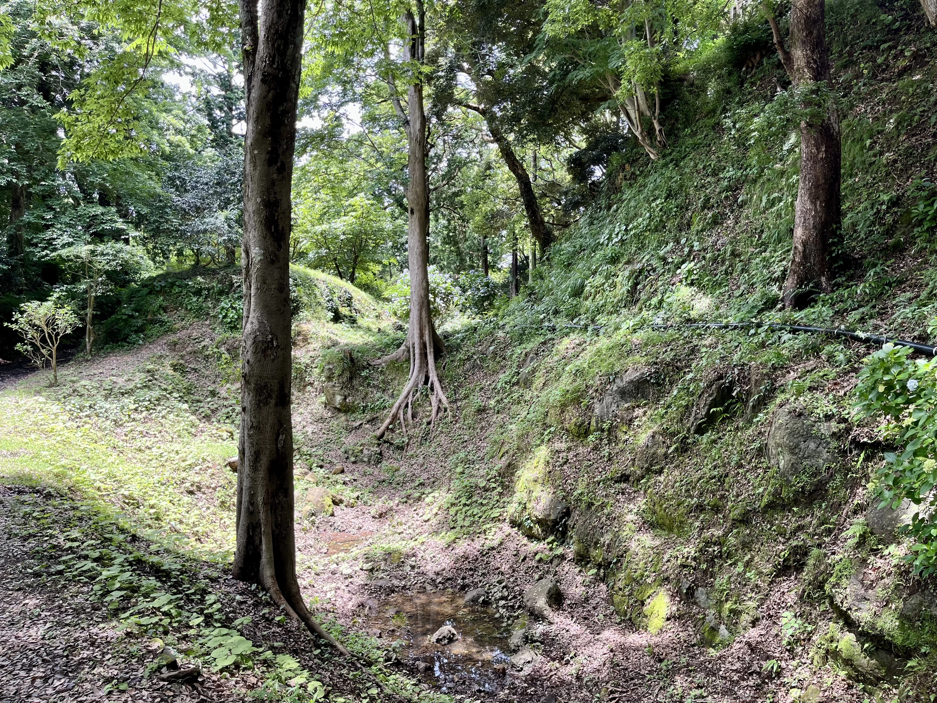堀②（現地にて撮影）