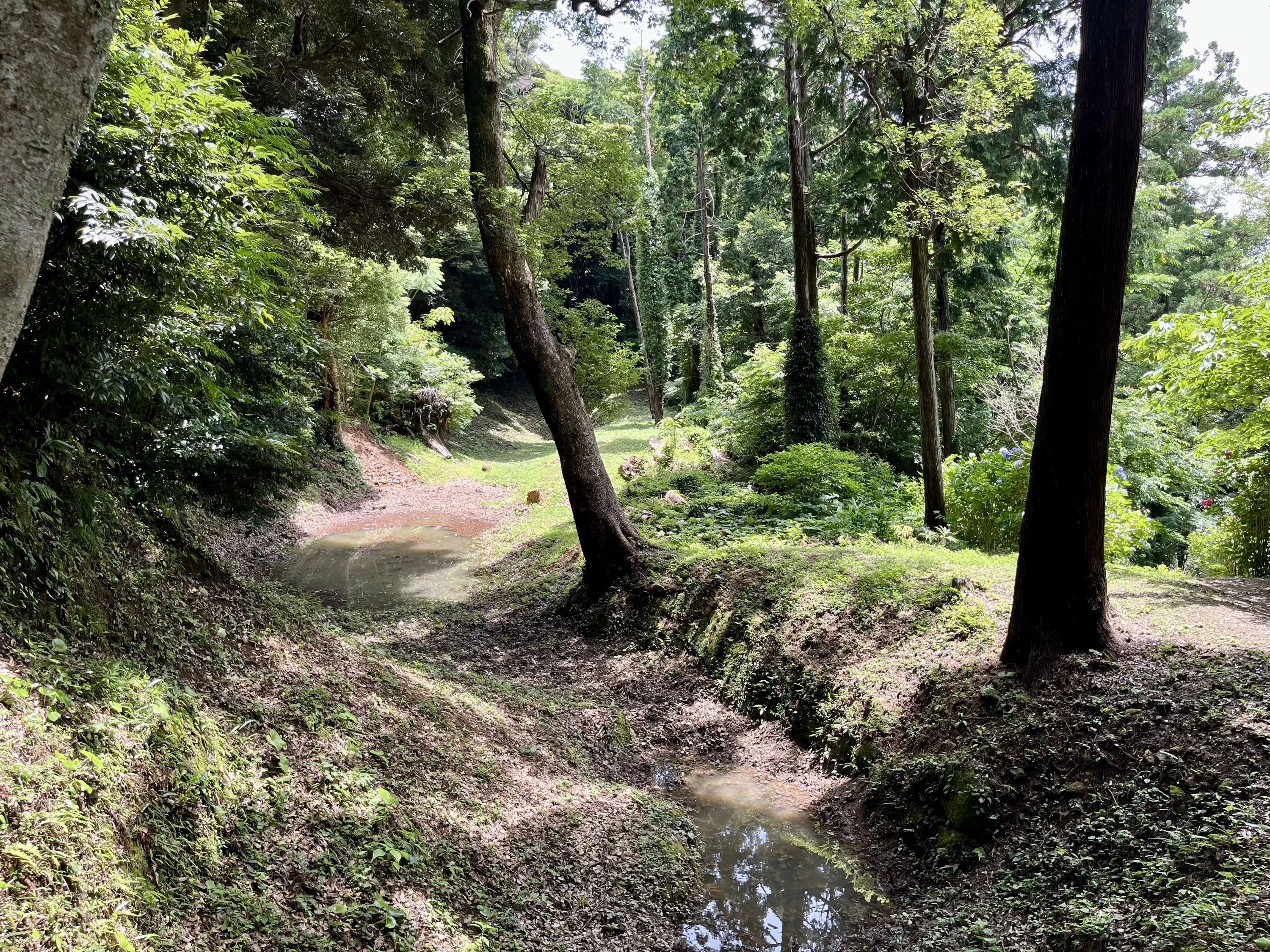 堀③（現地にて撮影）