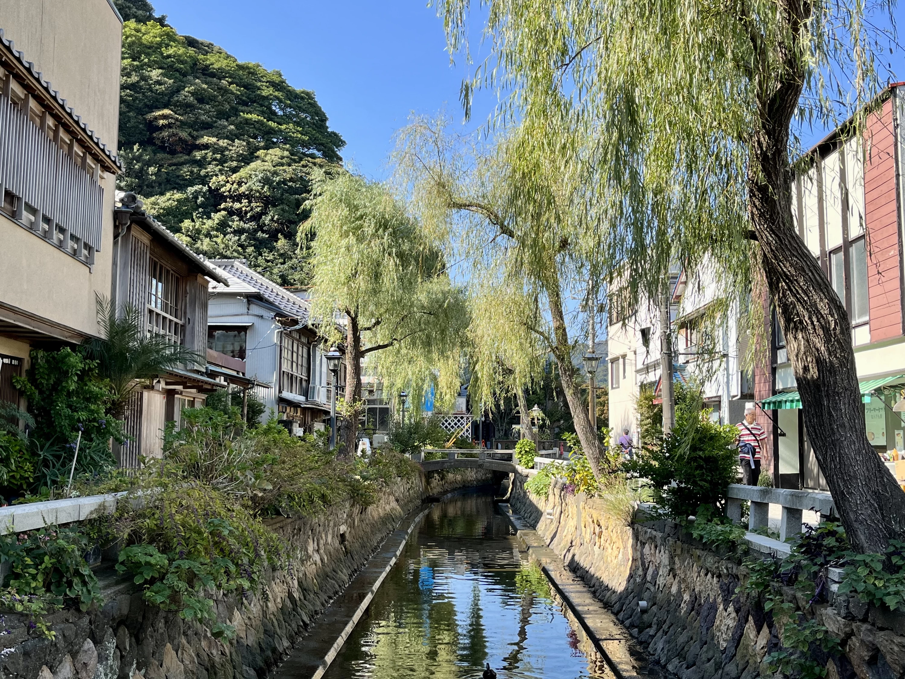 ペリーロード④（現地にて撮影）