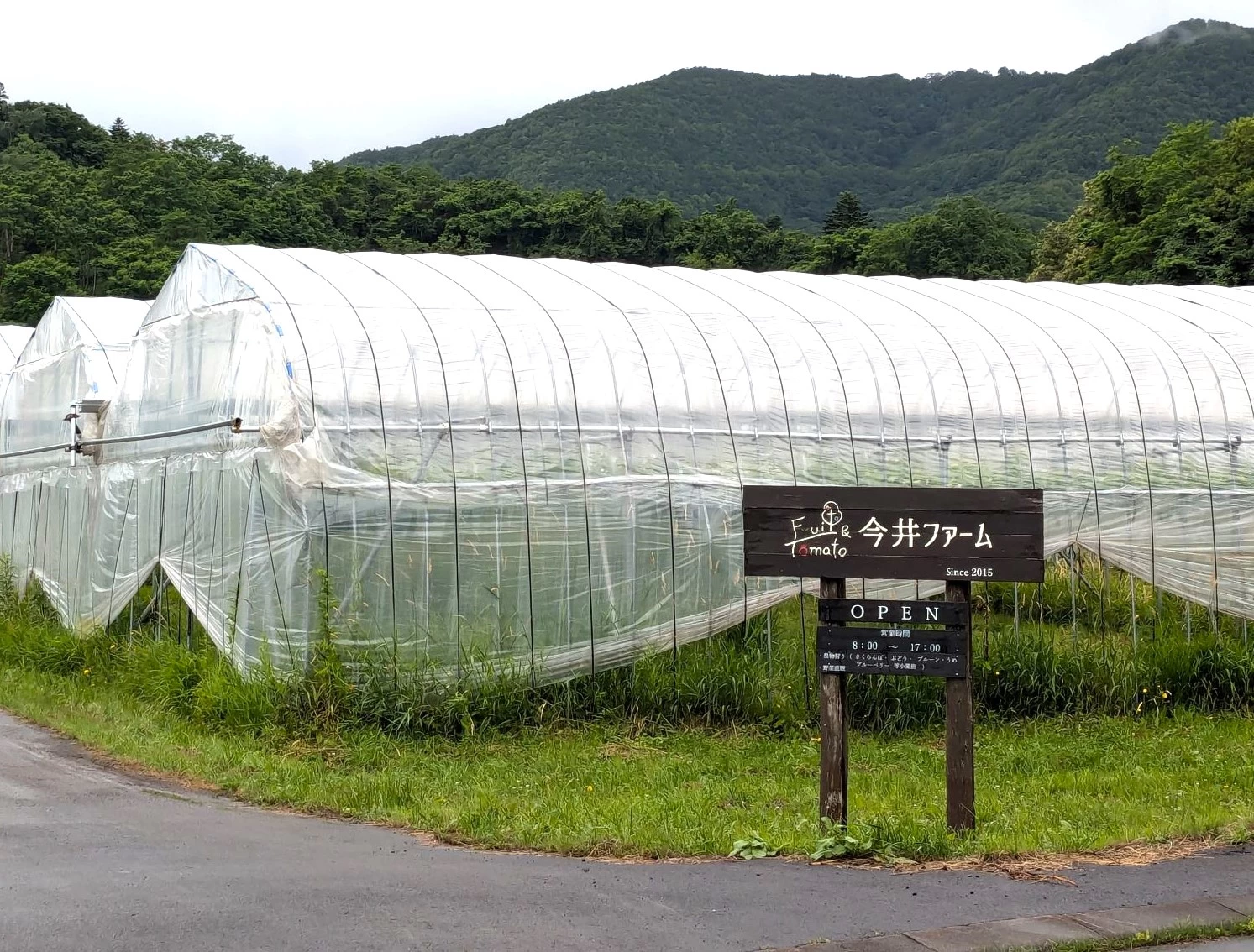 仁木周辺に点在する果物農園（現地にて撮影）