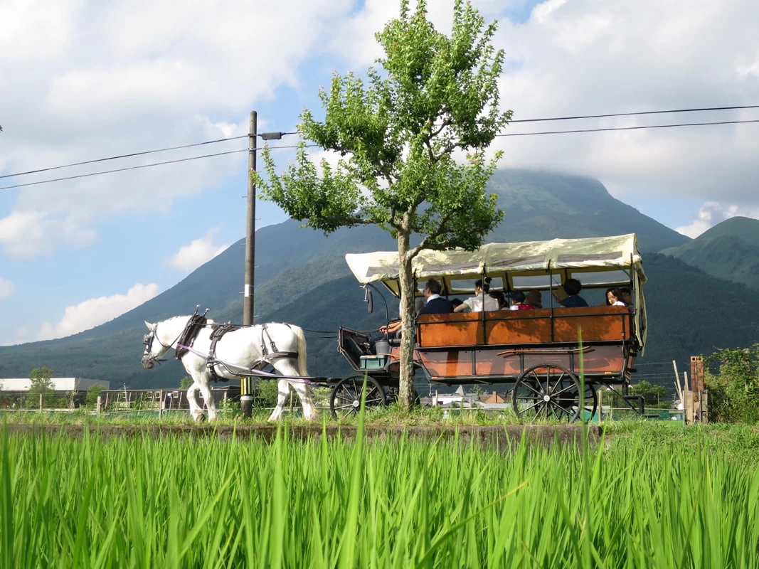 馬車に揺られるゆったりとした時間