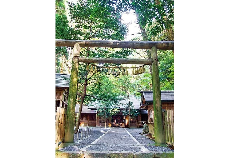 鳥居に下げられた「七五三縄」