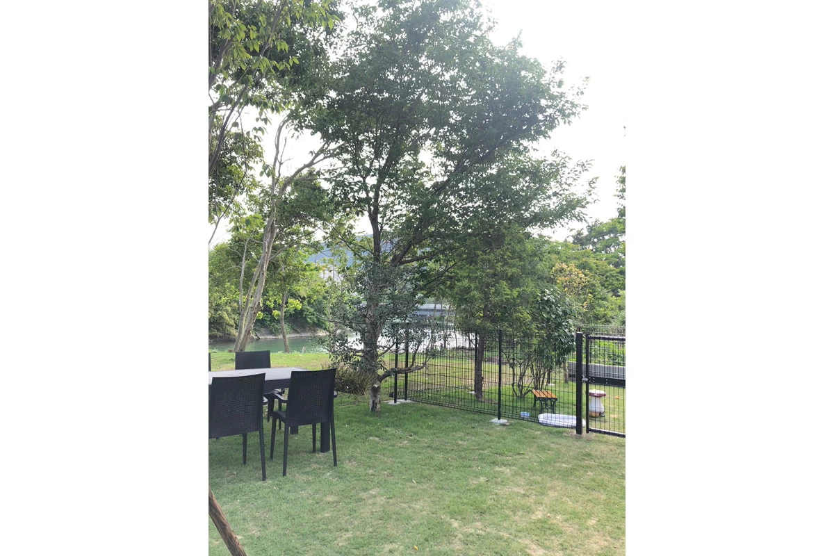 ミニドッグラン