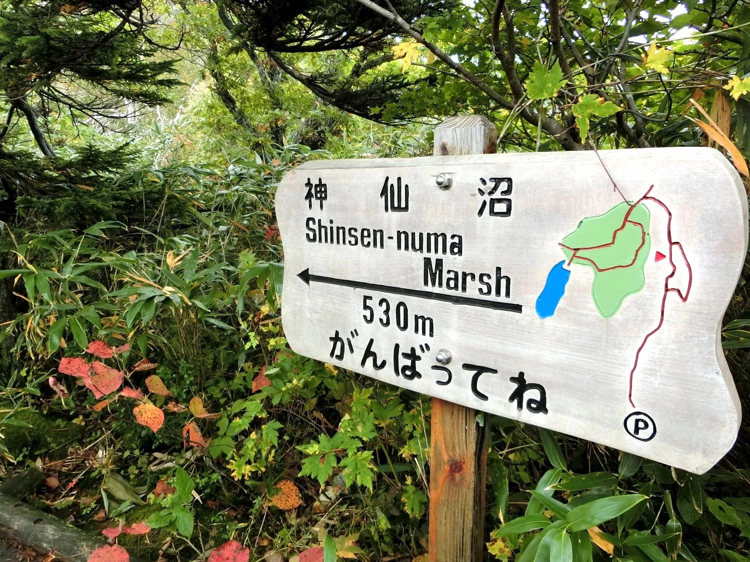 道中のサイン（現地にて撮影）