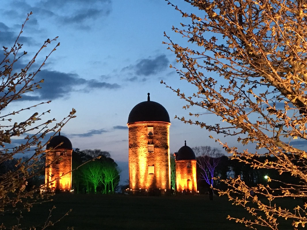 幻想的なライトアップ