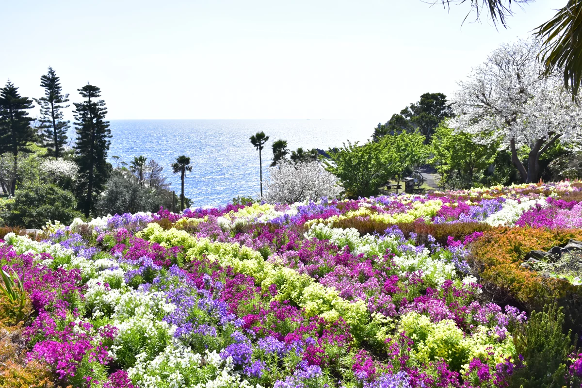 フラワーガーデン①