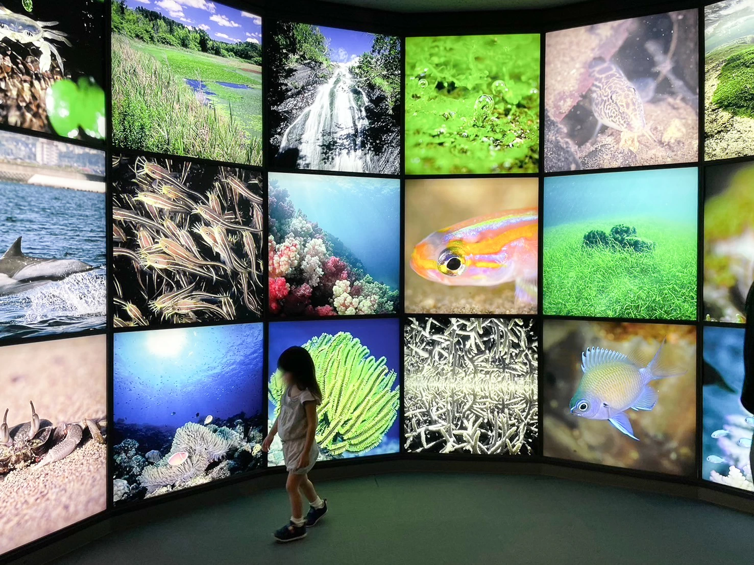 館内（現地にて撮影）