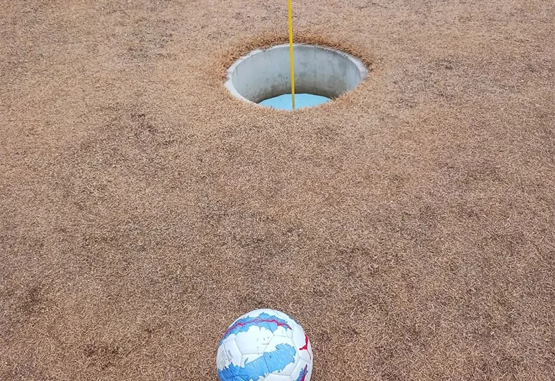 女性や子どもも蹴りやすい大きな5号球のサッカーボールを使用