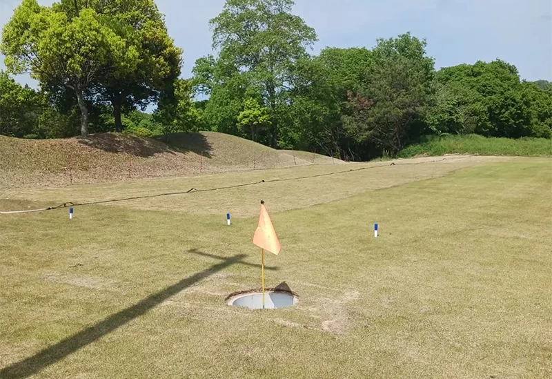 カップもボールに合わせて大きなサイズで設置