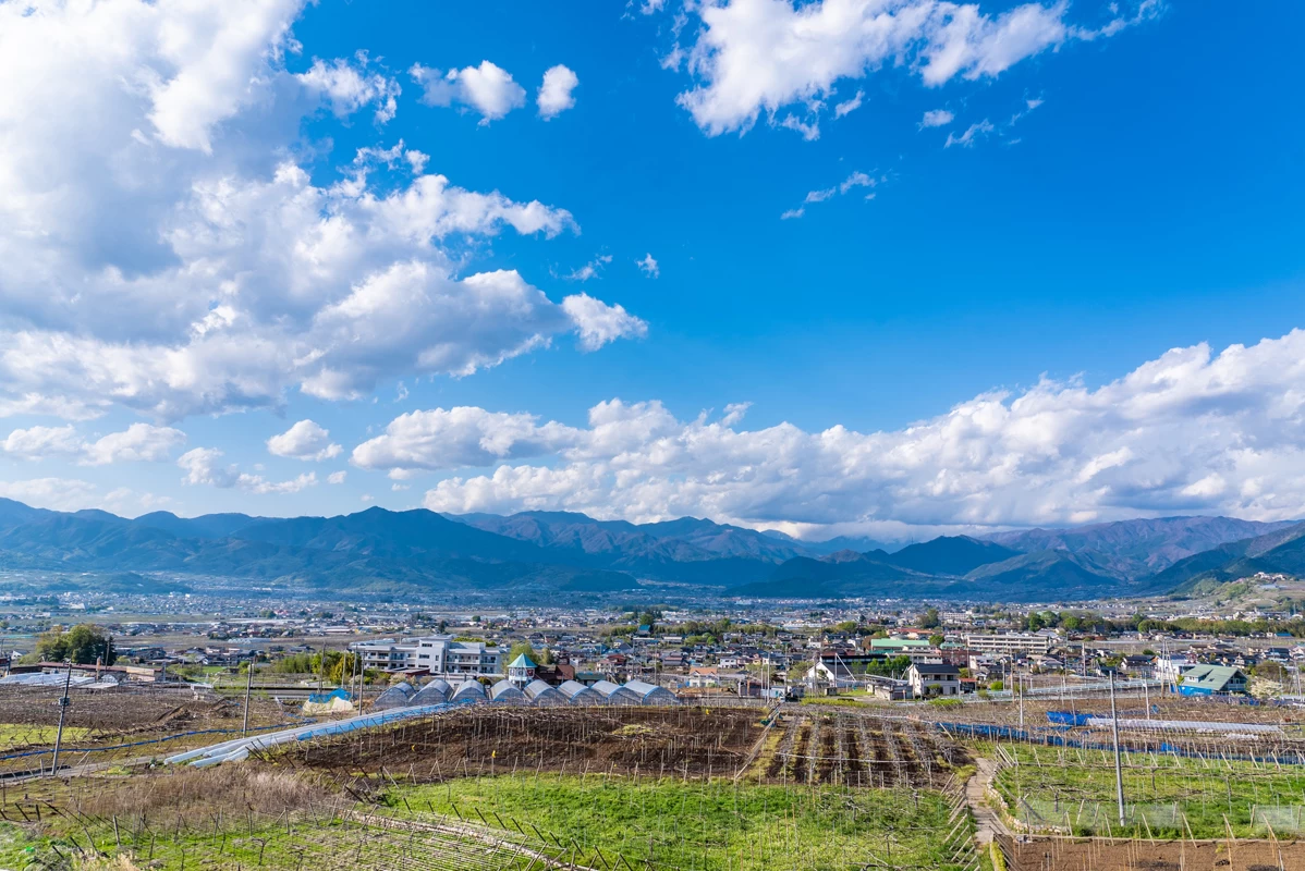 テラスから見える景色