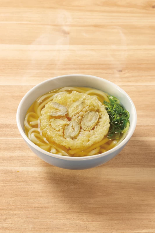 ごぼう天うどん