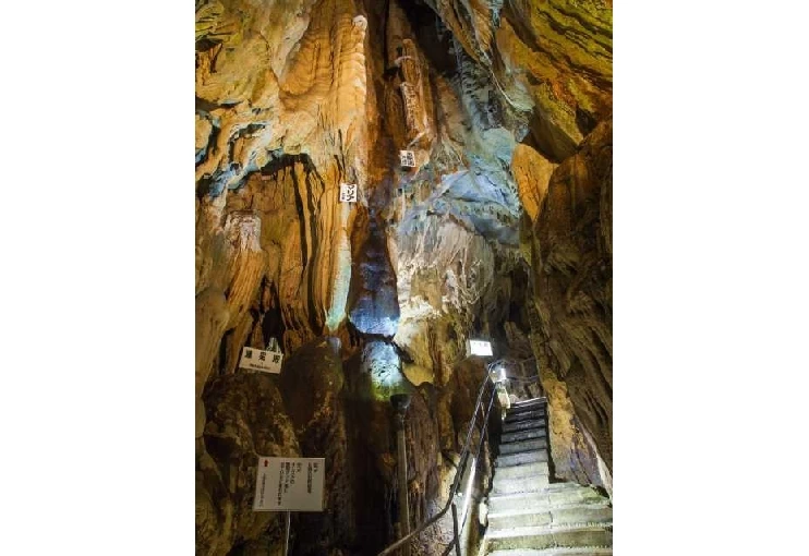 多様な形状の鍾乳石を観察することができる