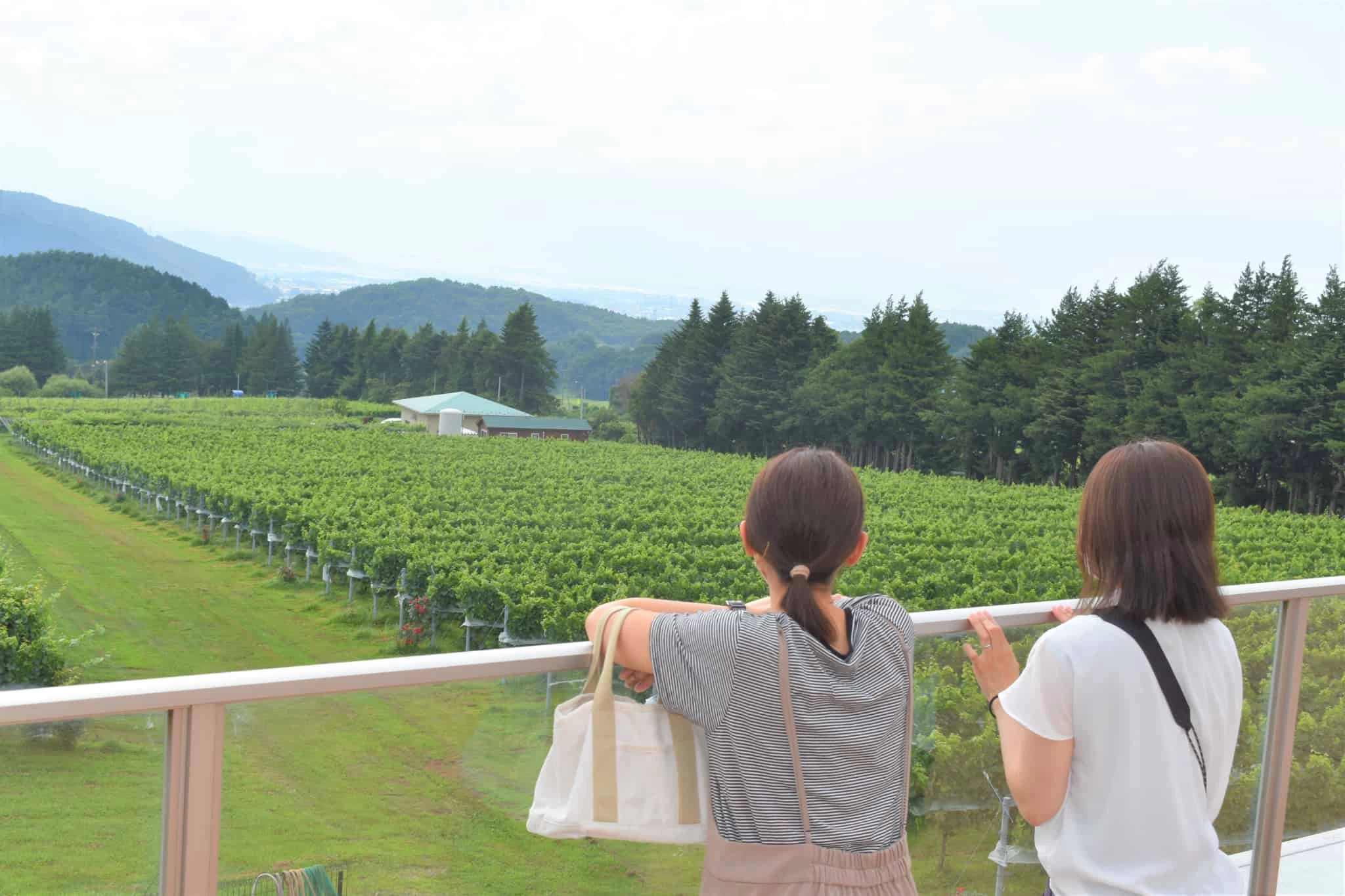 ワイナリー巡り