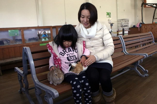 ちびっこ広場 モルモット