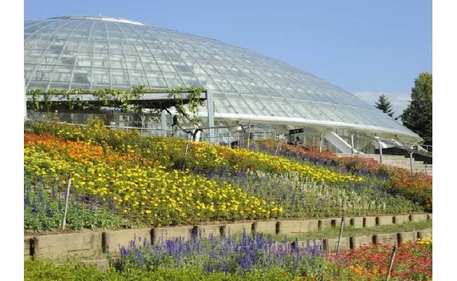 山梨県笛吹川フルーツ公園②