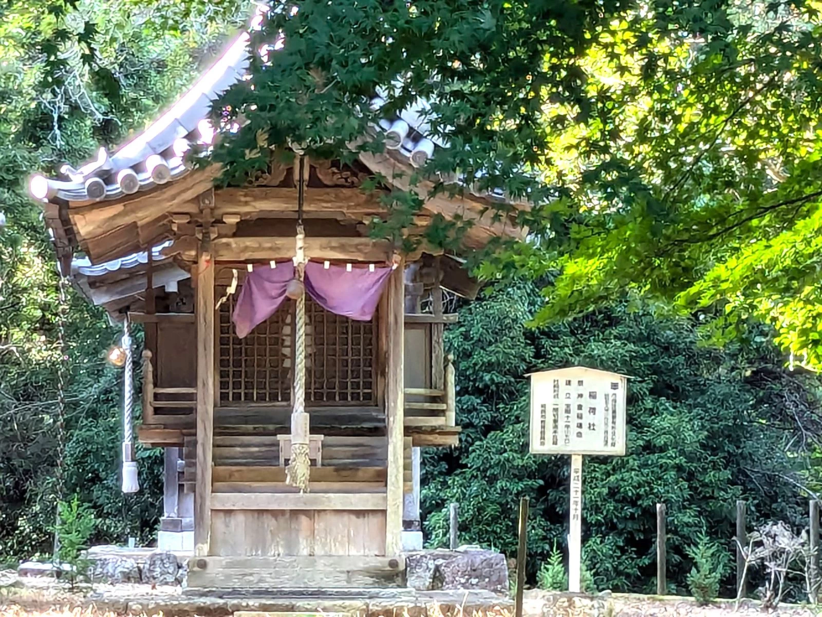 緑が眩しい境内（現地にて撮影）