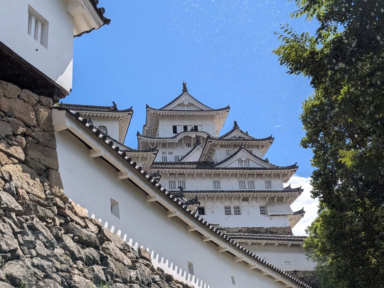 壁の狭間にも注目（現地にて撮影）