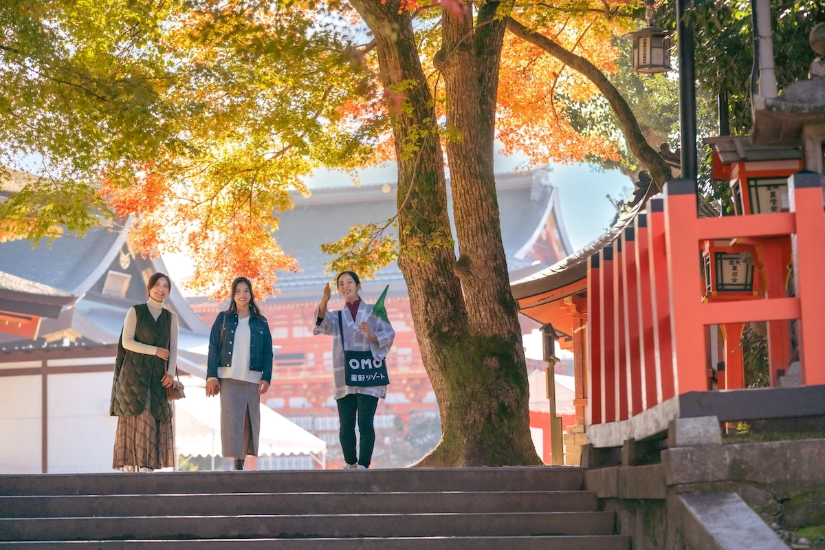 早朝ツアーで四季折々の景色を満喫