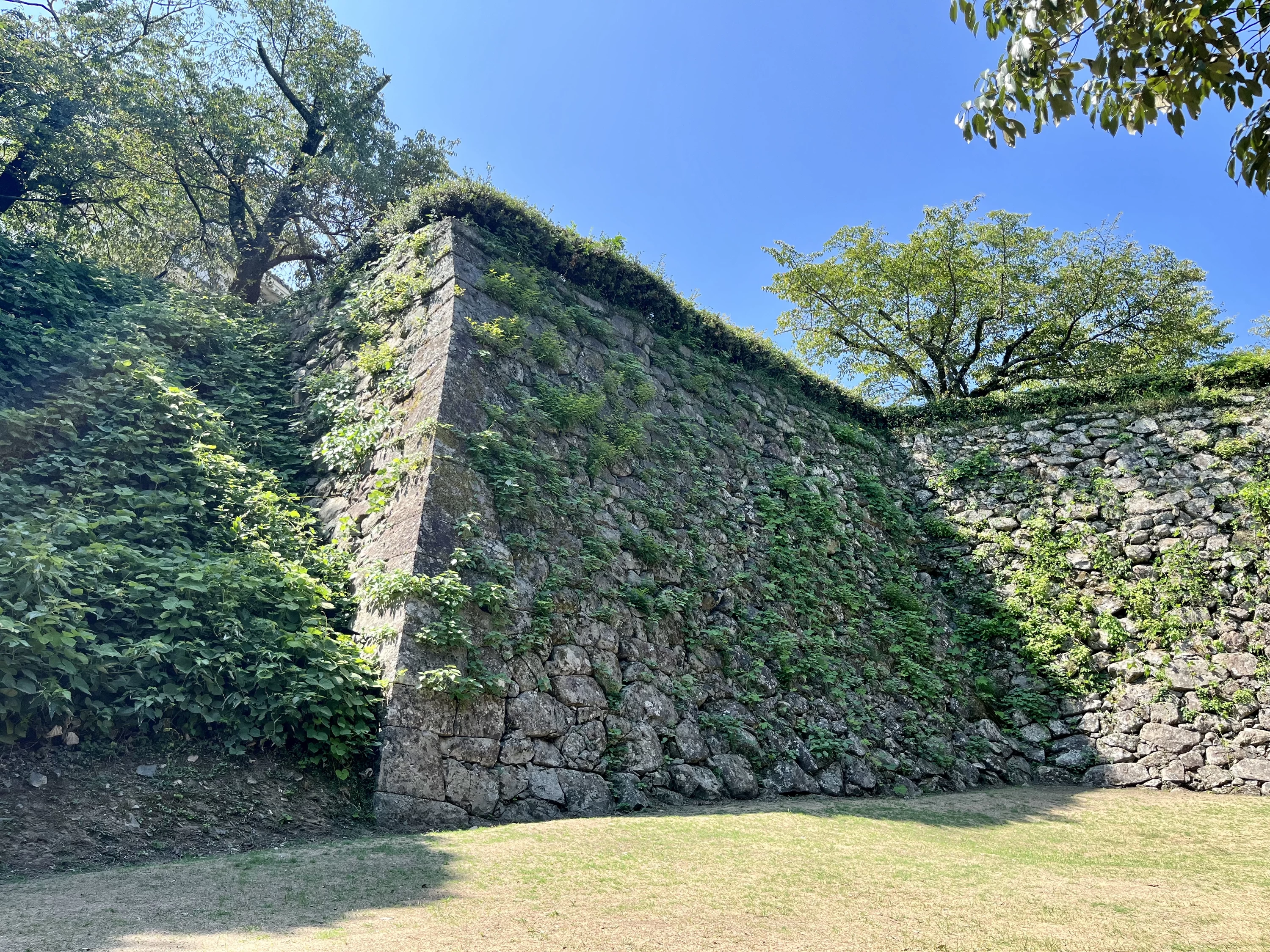 本丸の石垣（現地にて撮影）