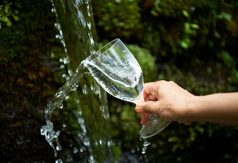 羊蹄のふきだし湧水