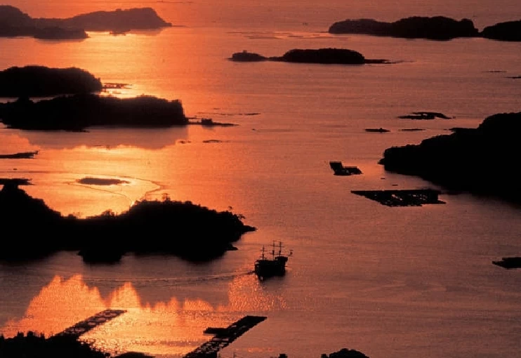 夕方