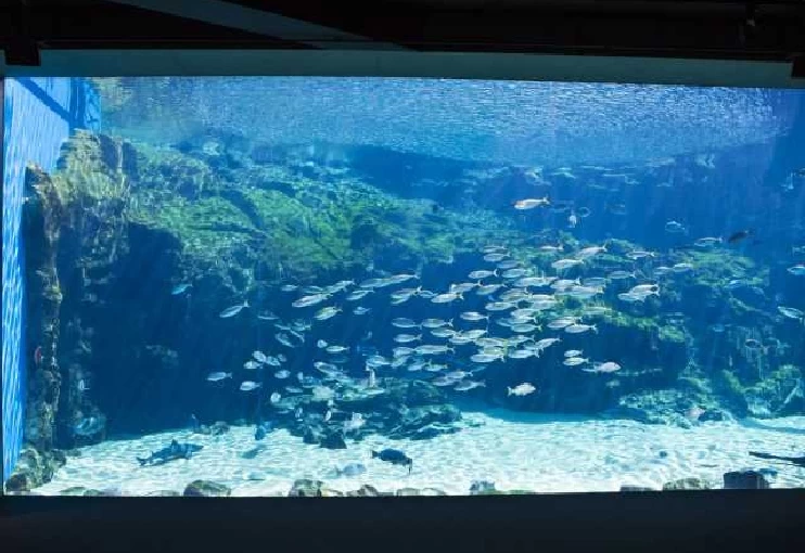 約120種1万3,000匹の生きものを展示