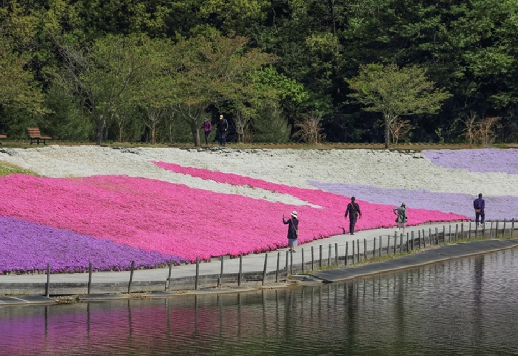 四季折々の花が見られる