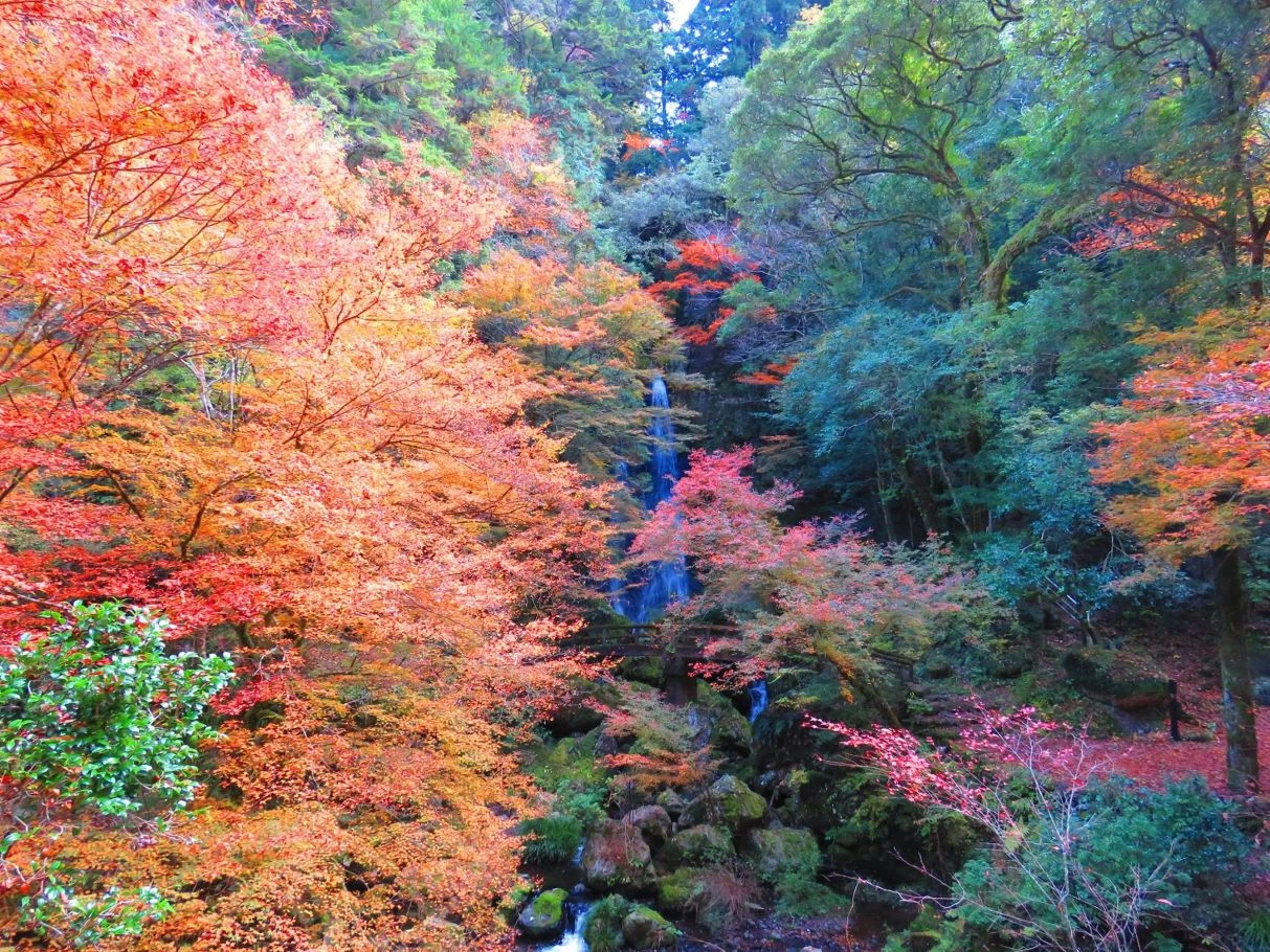 長沢の滝（紅葉）