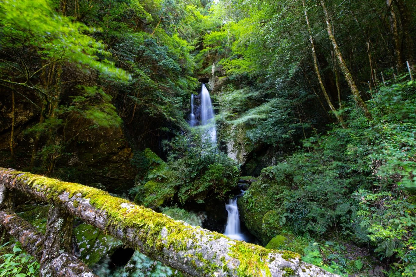 長沢の滝（新緑）