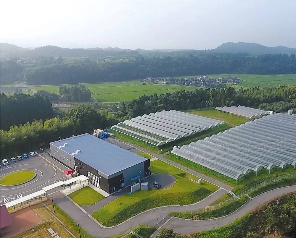 自社ブドウ畑を備えた醸造所