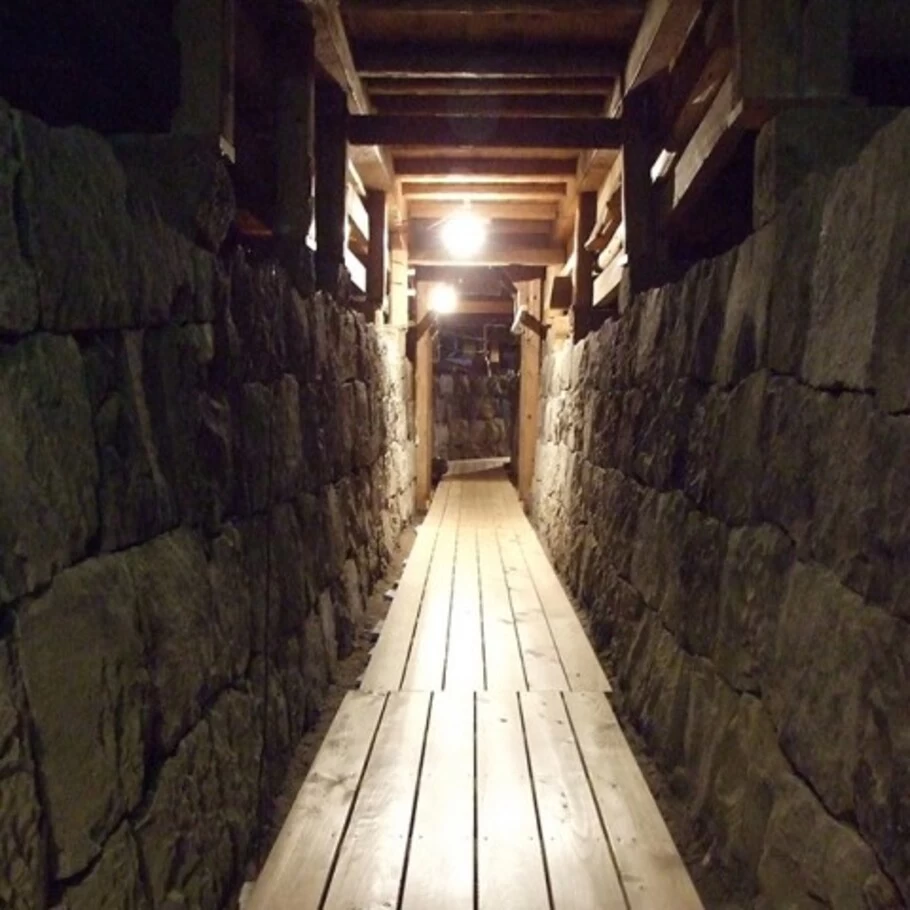 奈落（スッポン）