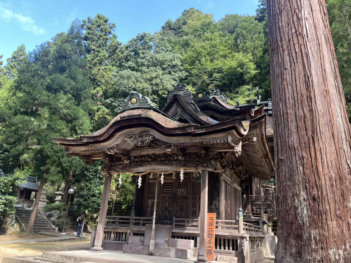 複雑な屋根が特長