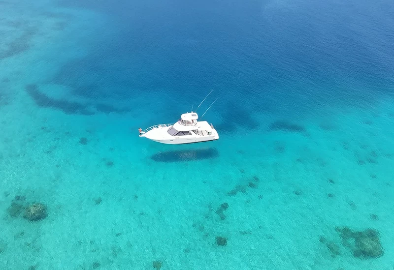 奄美の大自然を体感