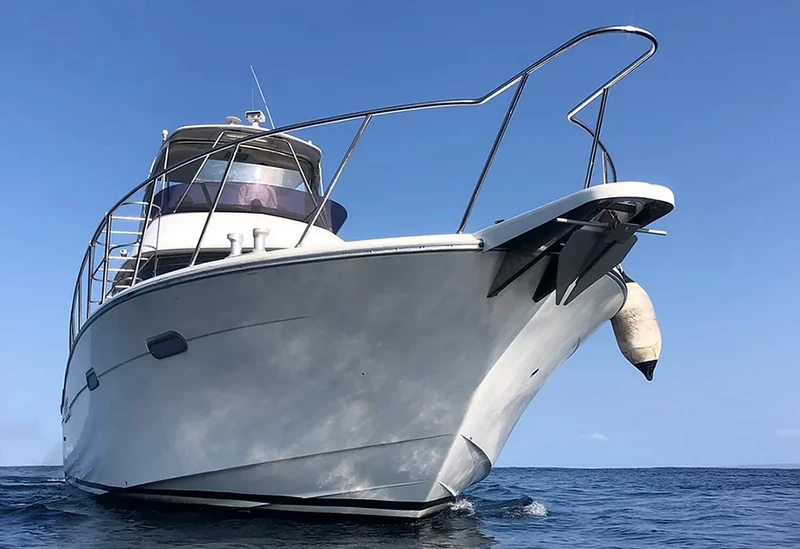 「プライベートチャータークルーズ」を満喫