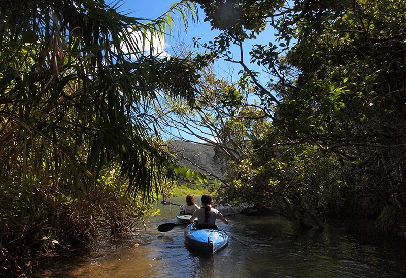 ダイビングとマングローブカヌーを1日で体験