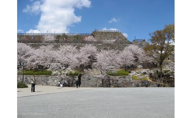 ①舞鶴城公園(甲府城跡)